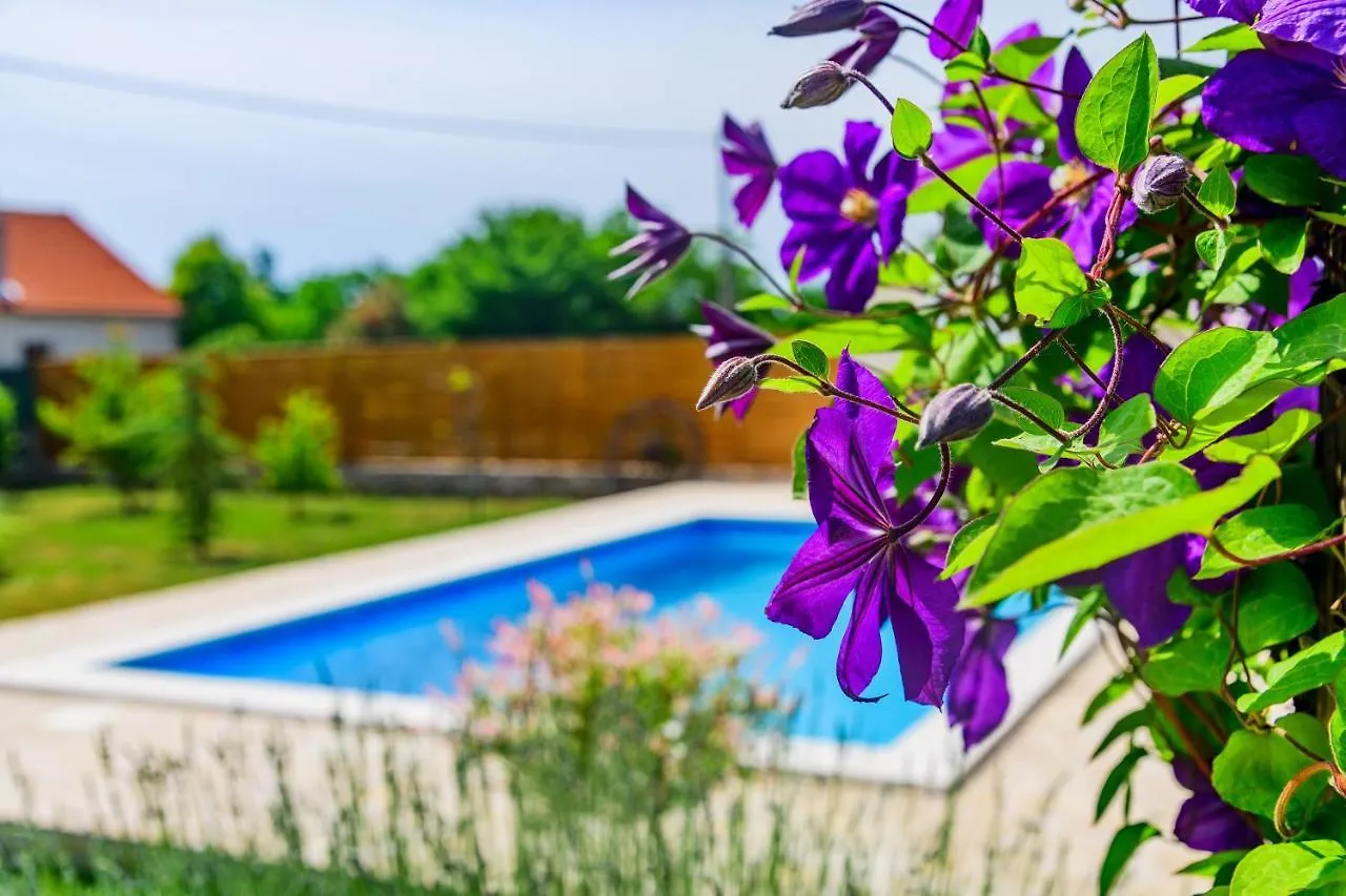Sunny House Villa Smokovic Holiday home
